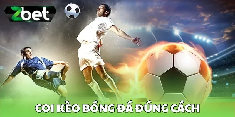 Coi kèo bóng đá đúng cách Coi kèo bóng đá đúng cách