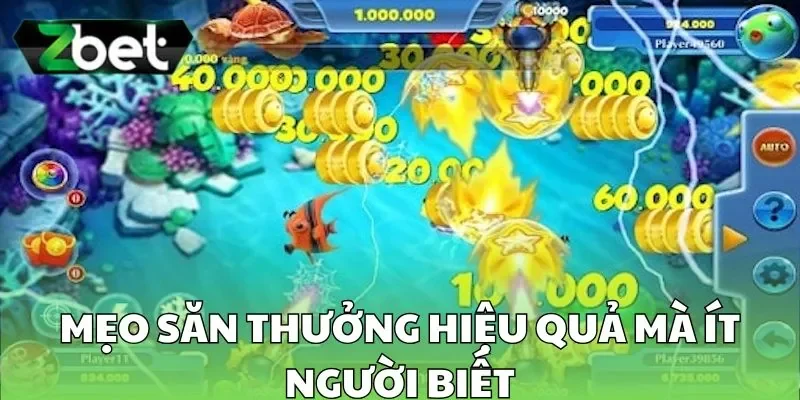 Mẹo săn thưởng hiệu quả mà ít người biết Mẹo săn thưởng hiệu quả mà ít người biết